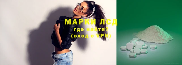 прущие грибы Александровское