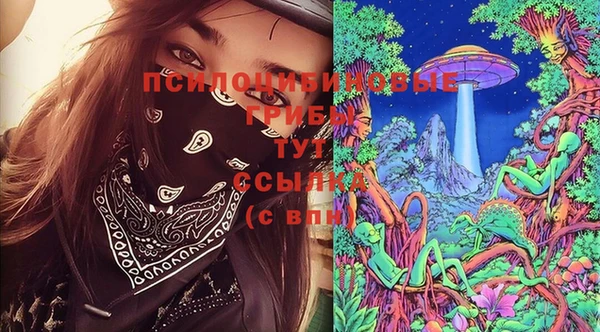 кокс Каменногорск